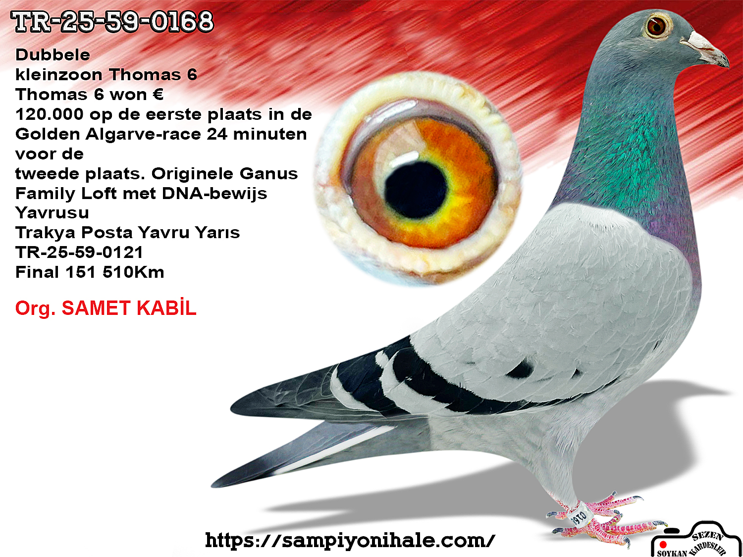 TR-25-59-0168 THOMAS 6 GANUS FAMİLY LOFT 