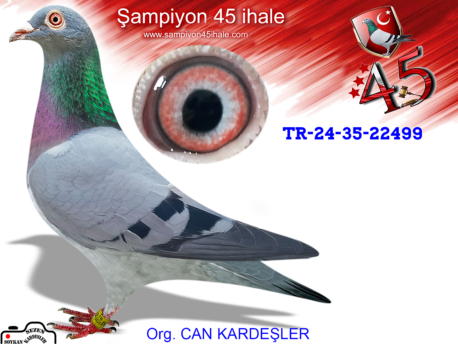 TR-24-35-22499 DİŞİ