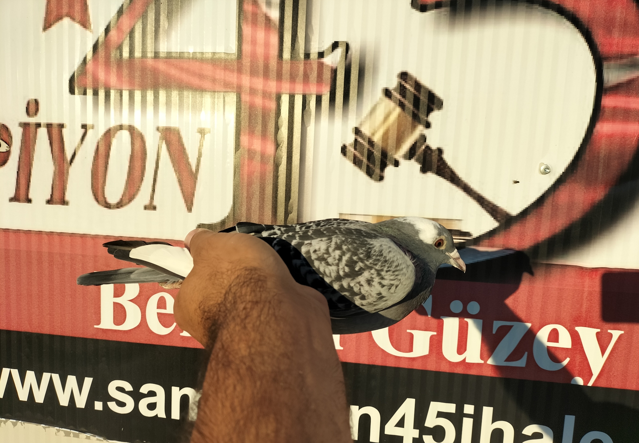 TR-24-10-4109 ORG NECMİ ÇAKAR 