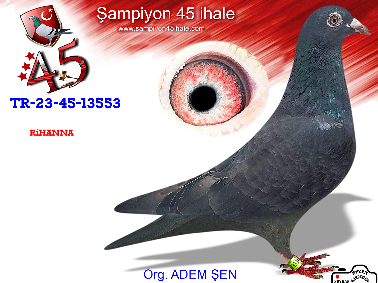 TR-23-45-13353 DİŞİ