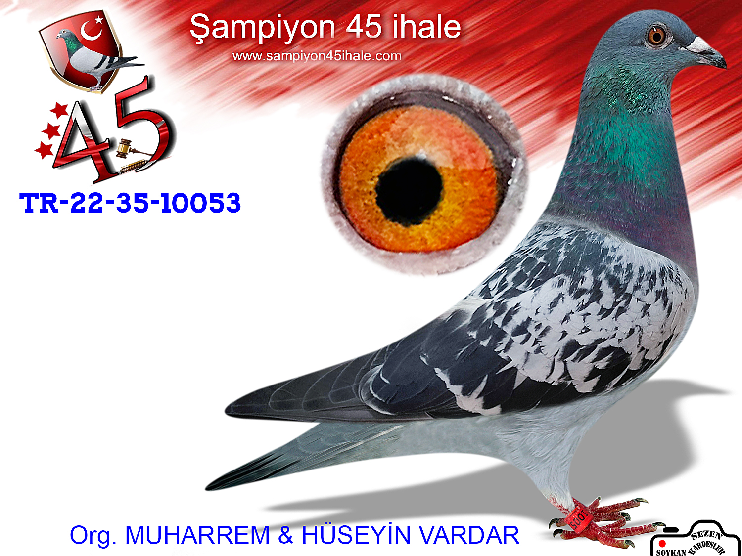 TR-22-35-10053 DİŞİ 