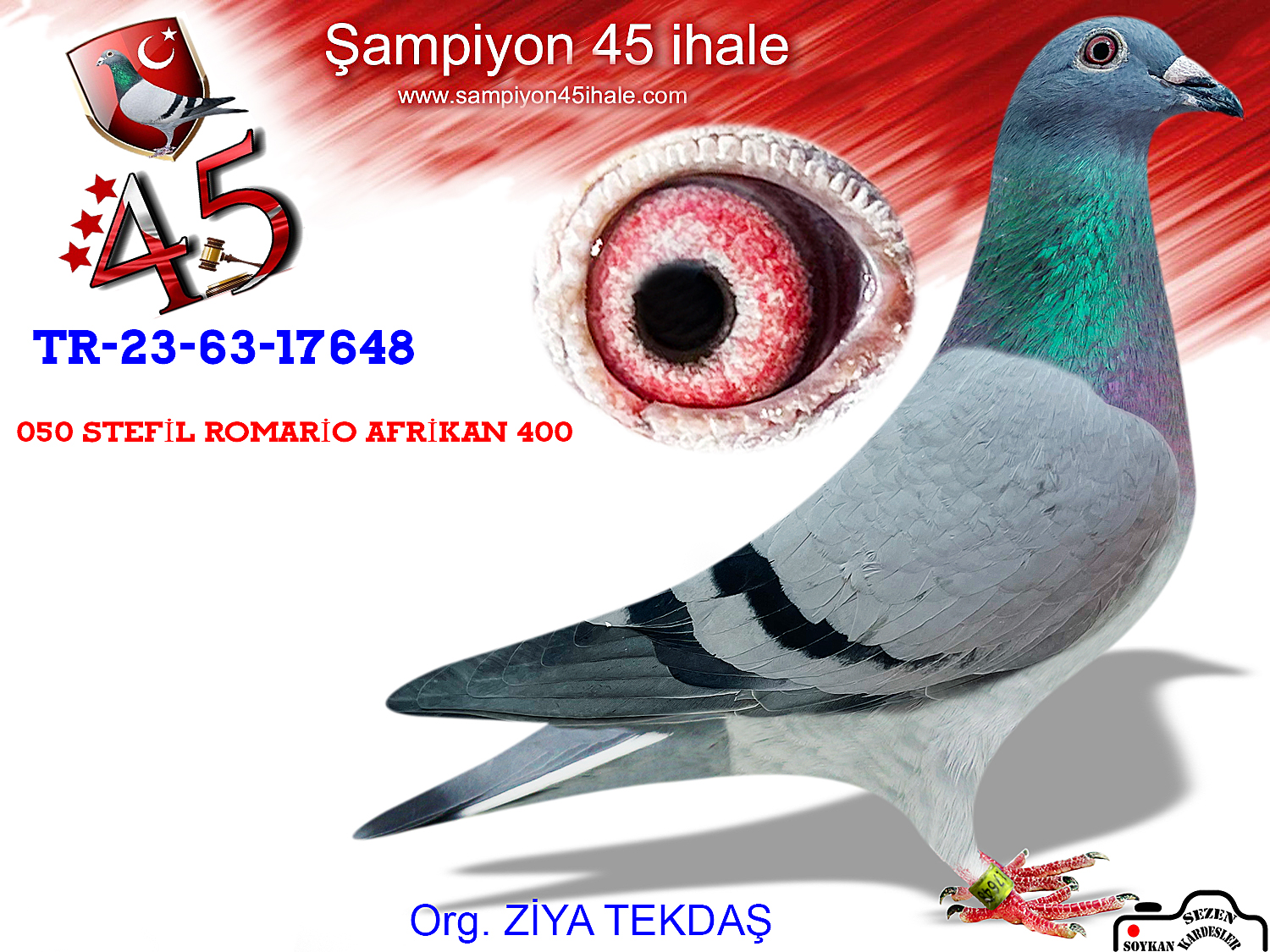 TR-23-63-17648 DİŞİ