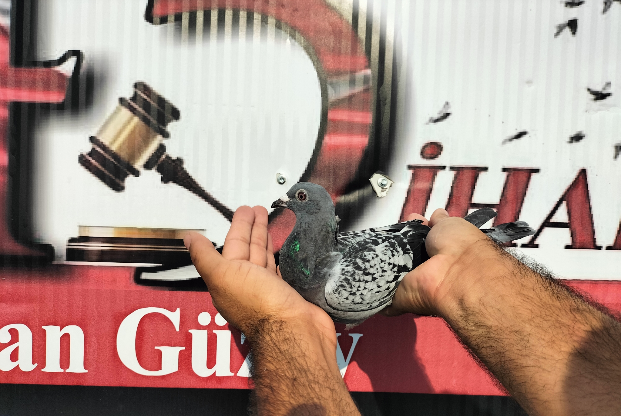 TR-10-04074 NECMİ ÇAKAR 