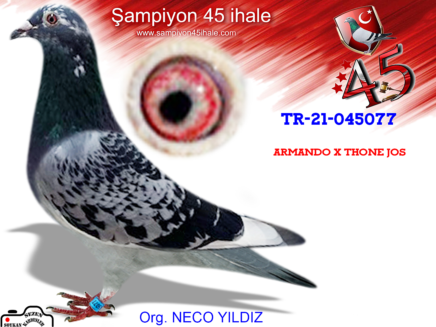 TR-21-045077 DİŞİ