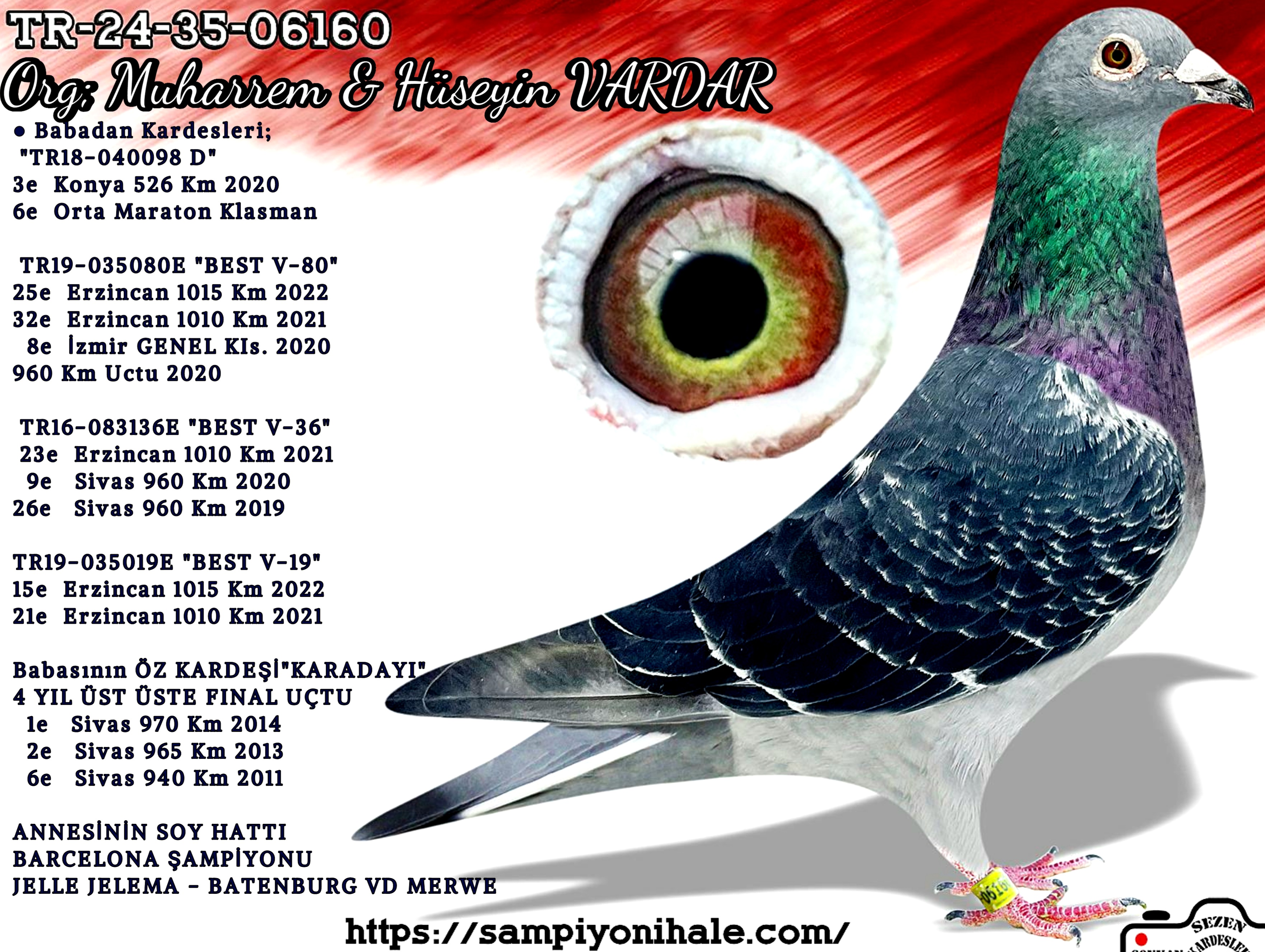 TR-24-35-06160 M&H VARDAR KARDEŞLER 