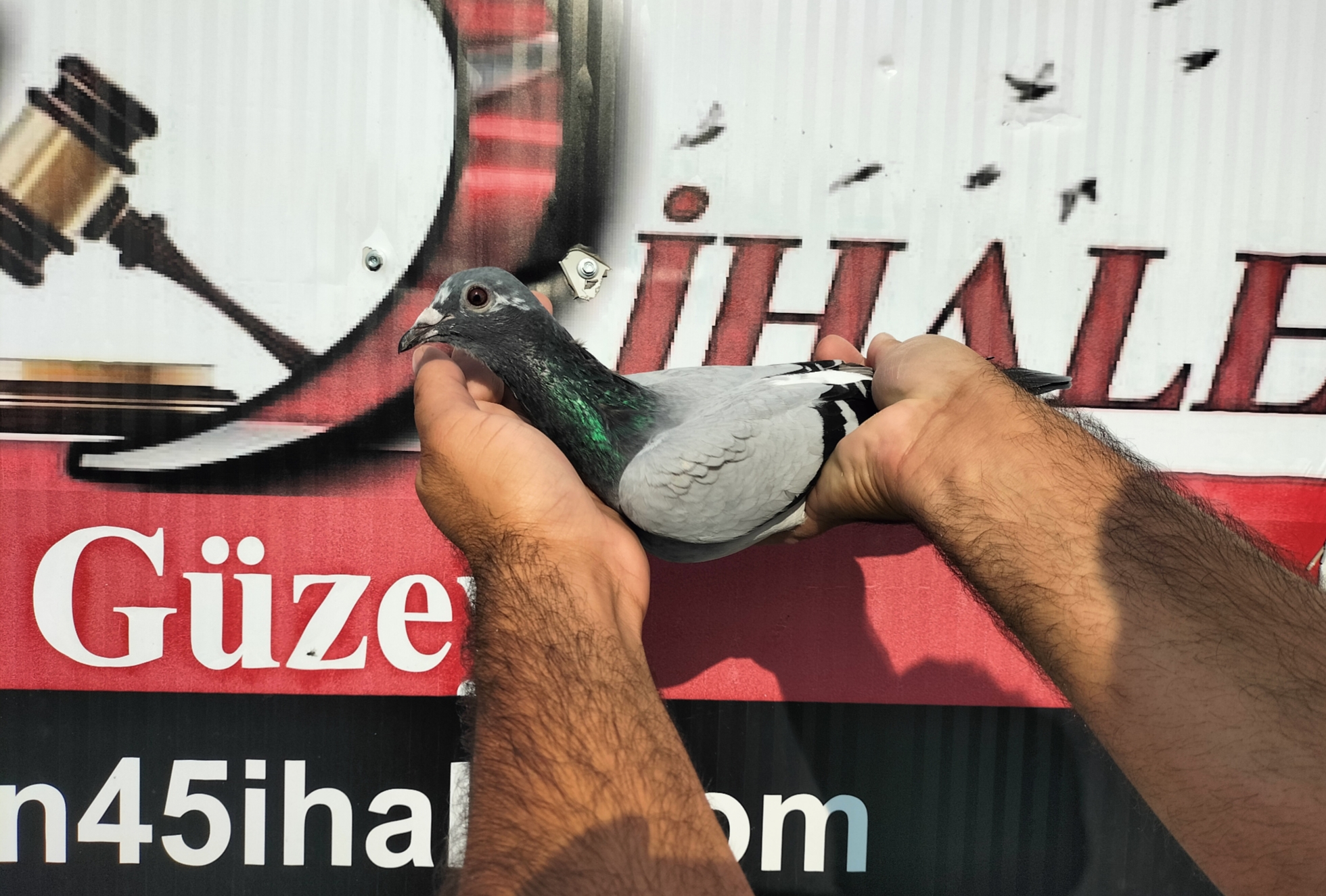 TR-10-04004 NECMİ ÇAKAR 