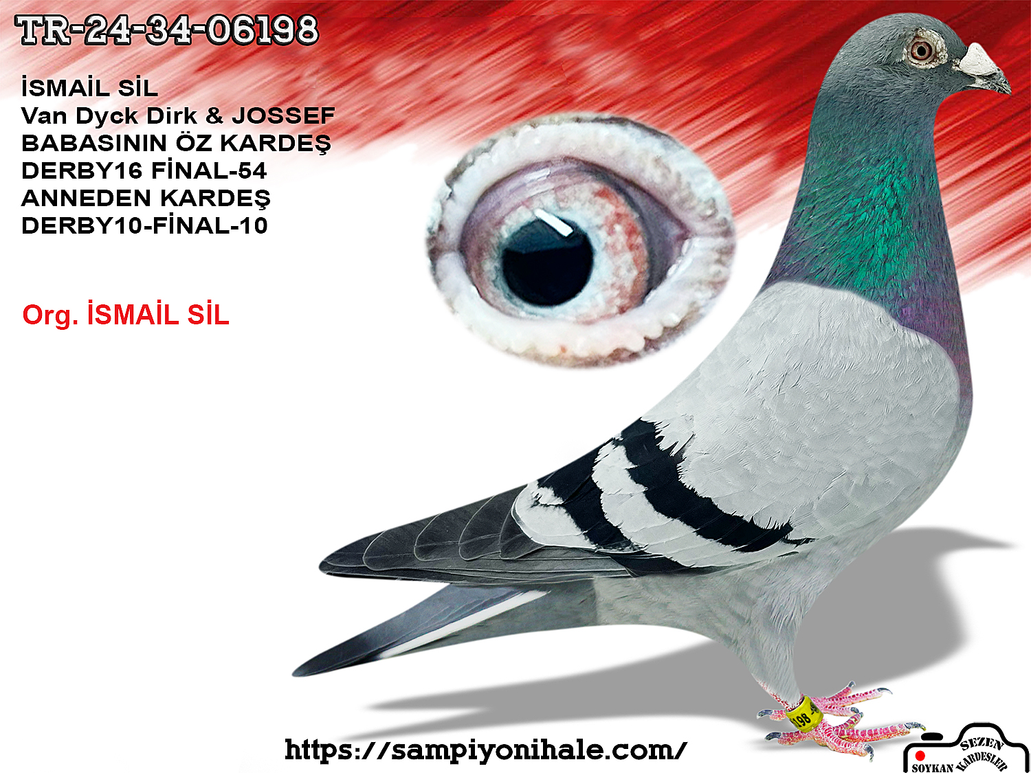 TR-24-34-06198 VAN DYCK DİRK JOSSEF 