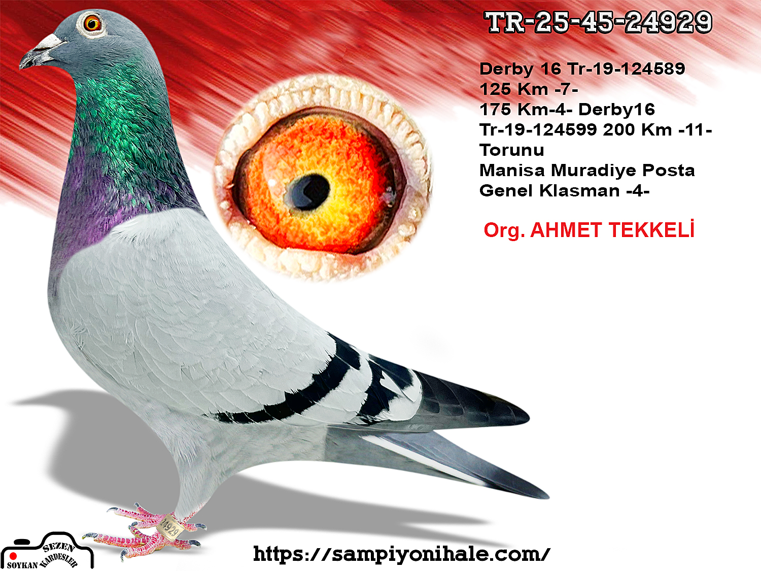 TR-25-45-24929 LEGEND THOMAS 6 GANUS FAMİLY LOFT 