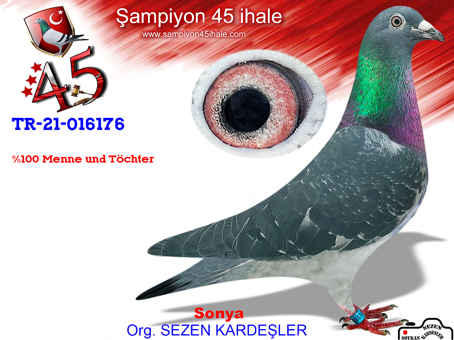 TR-21-016176 DİŞİ