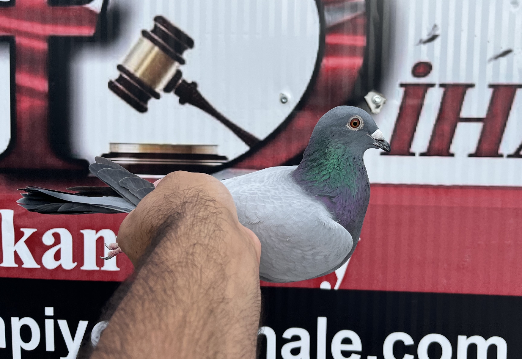 TR-25-16-20399 ORG SEZEN KARDEŞLER ZG HELİOS ZDENEK PAVLİK 