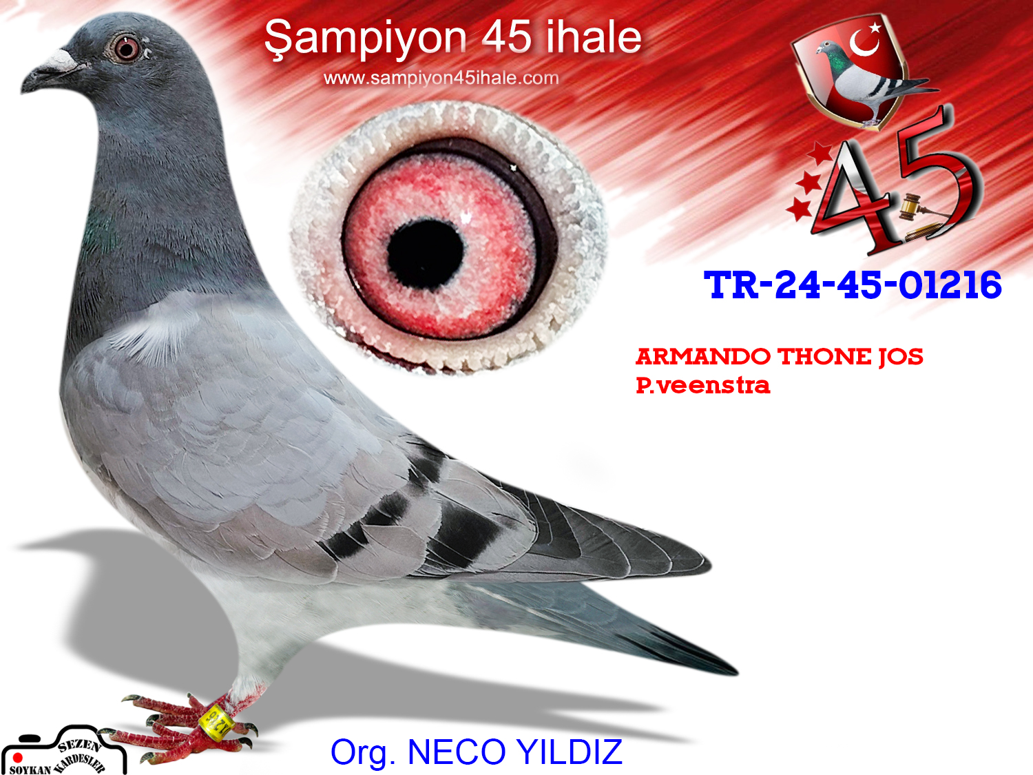 TR24-45-01216 DİŞİ