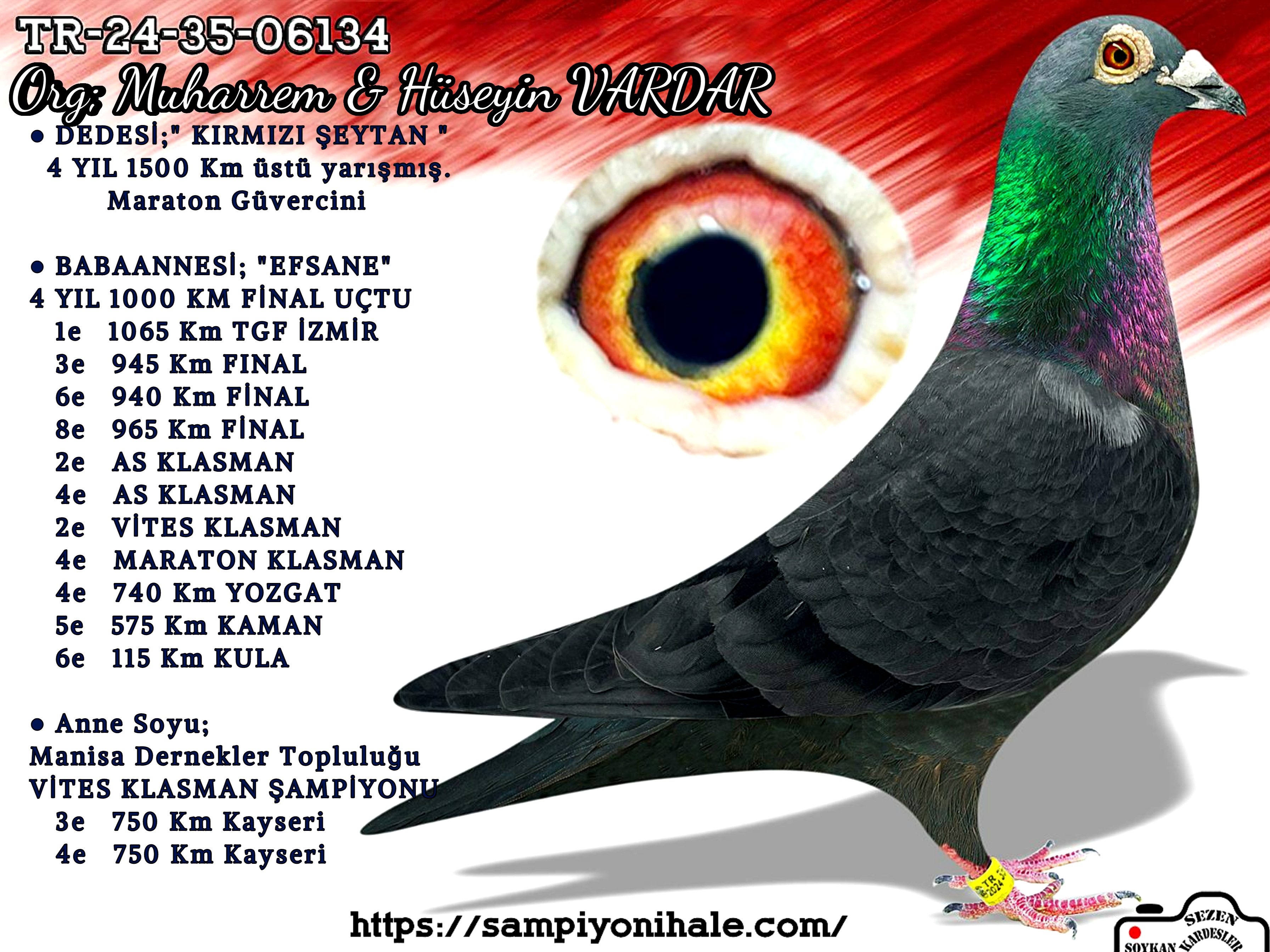 TR-24-35-06134 M&H VARDAR KARDEŞLER 