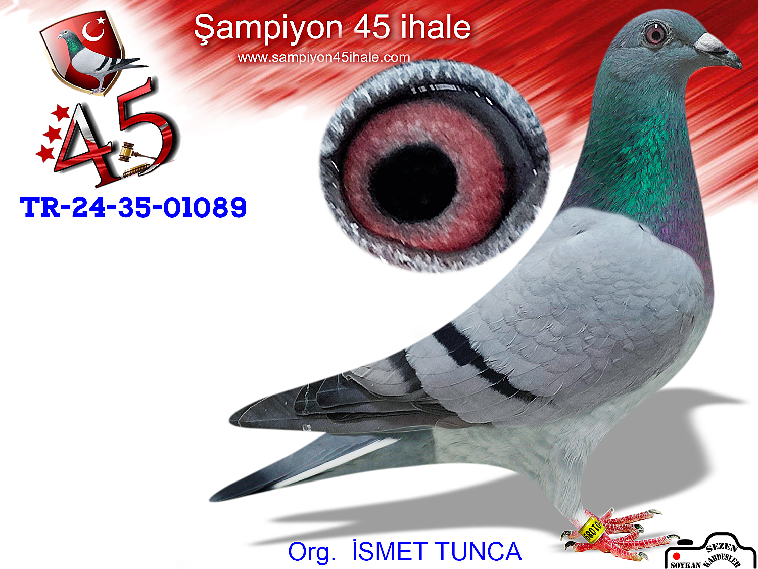 TR-24-35-01089 DİŞİ