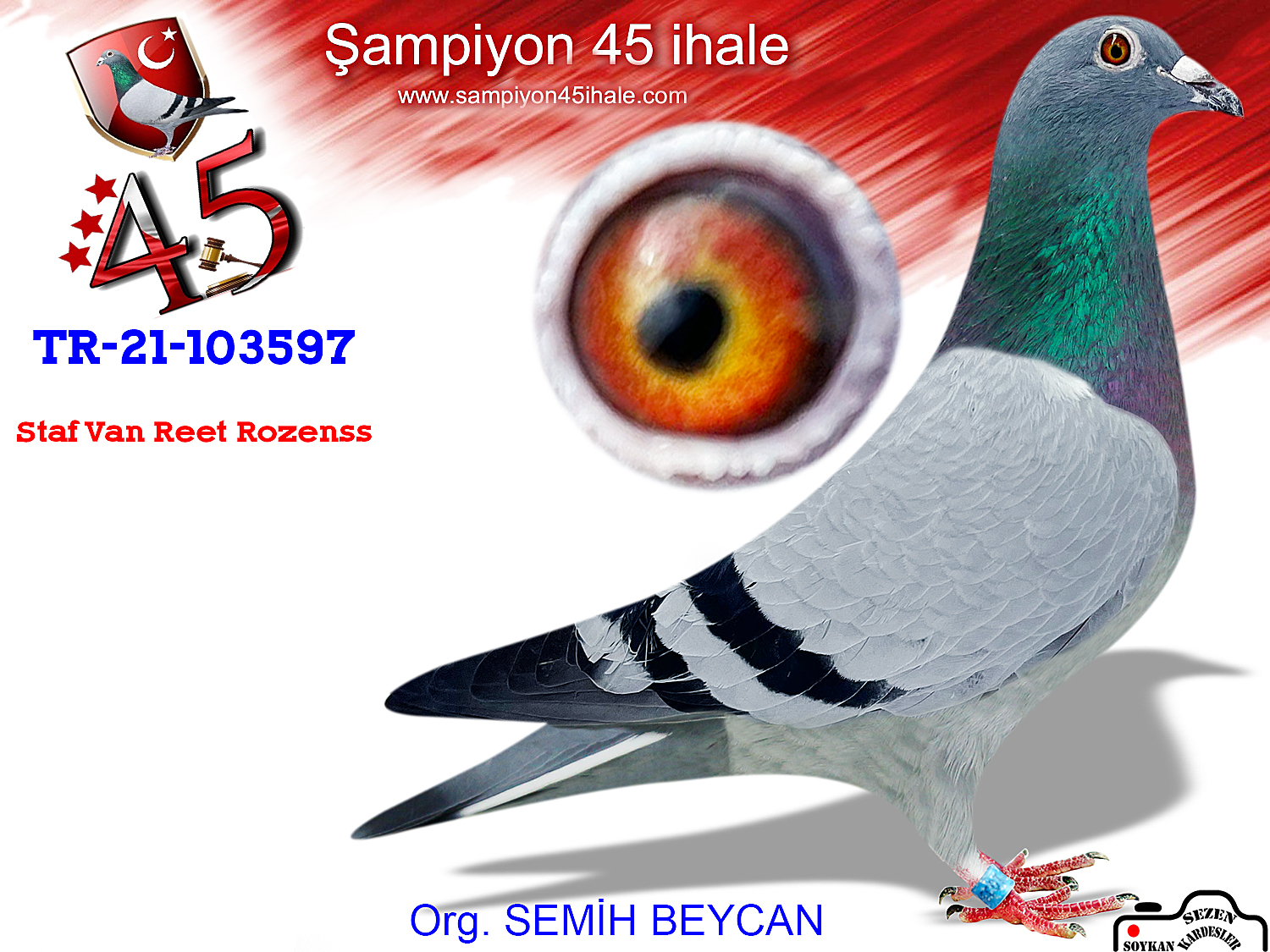 TR-21-103597 DİŞİ