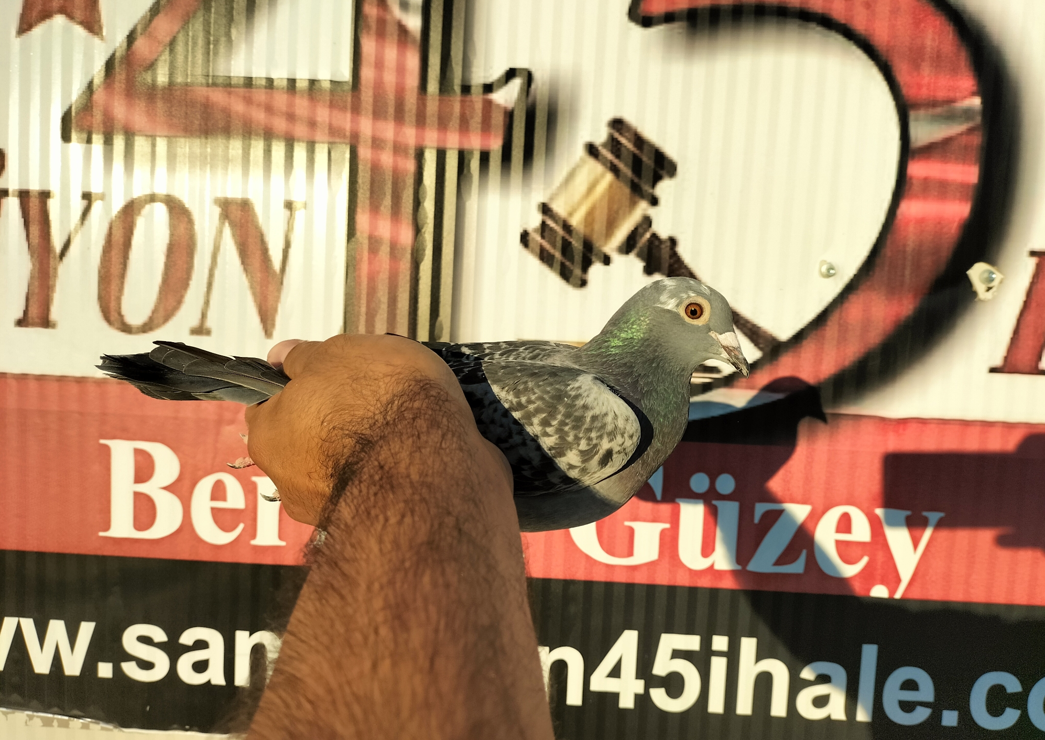 TR-24-10-4111 ORG NECMİ ÇAKAR 