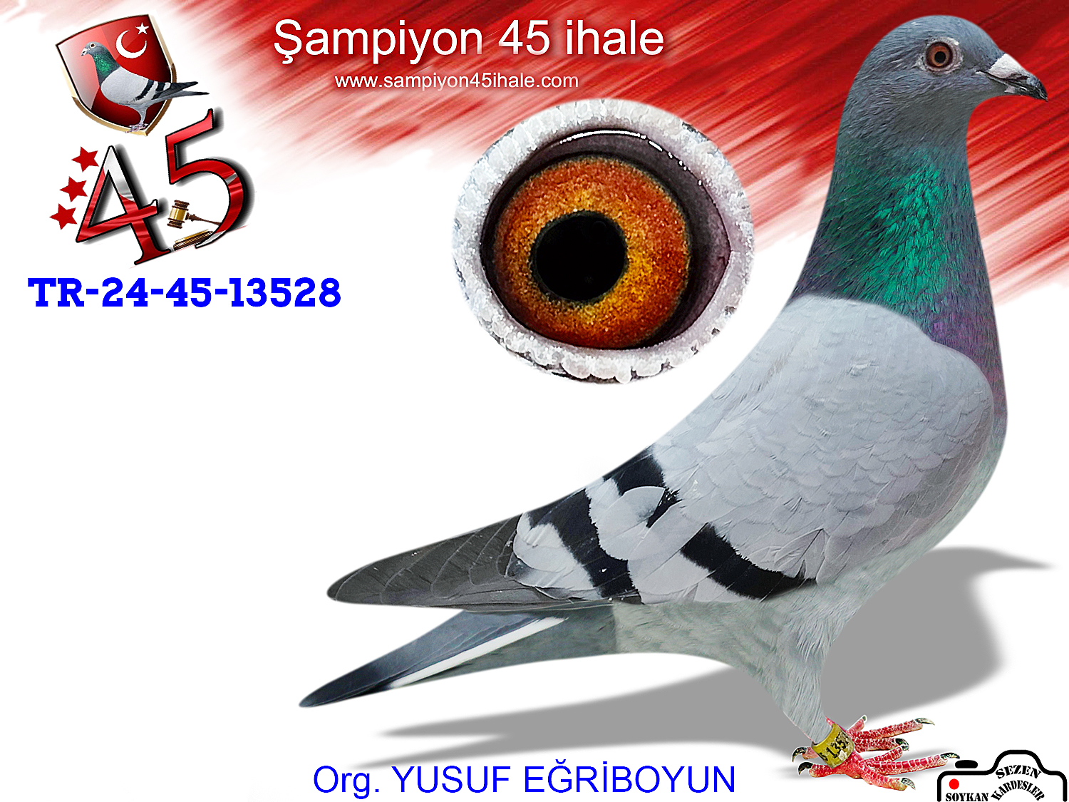 TR-24-45-13528 DİŞİ