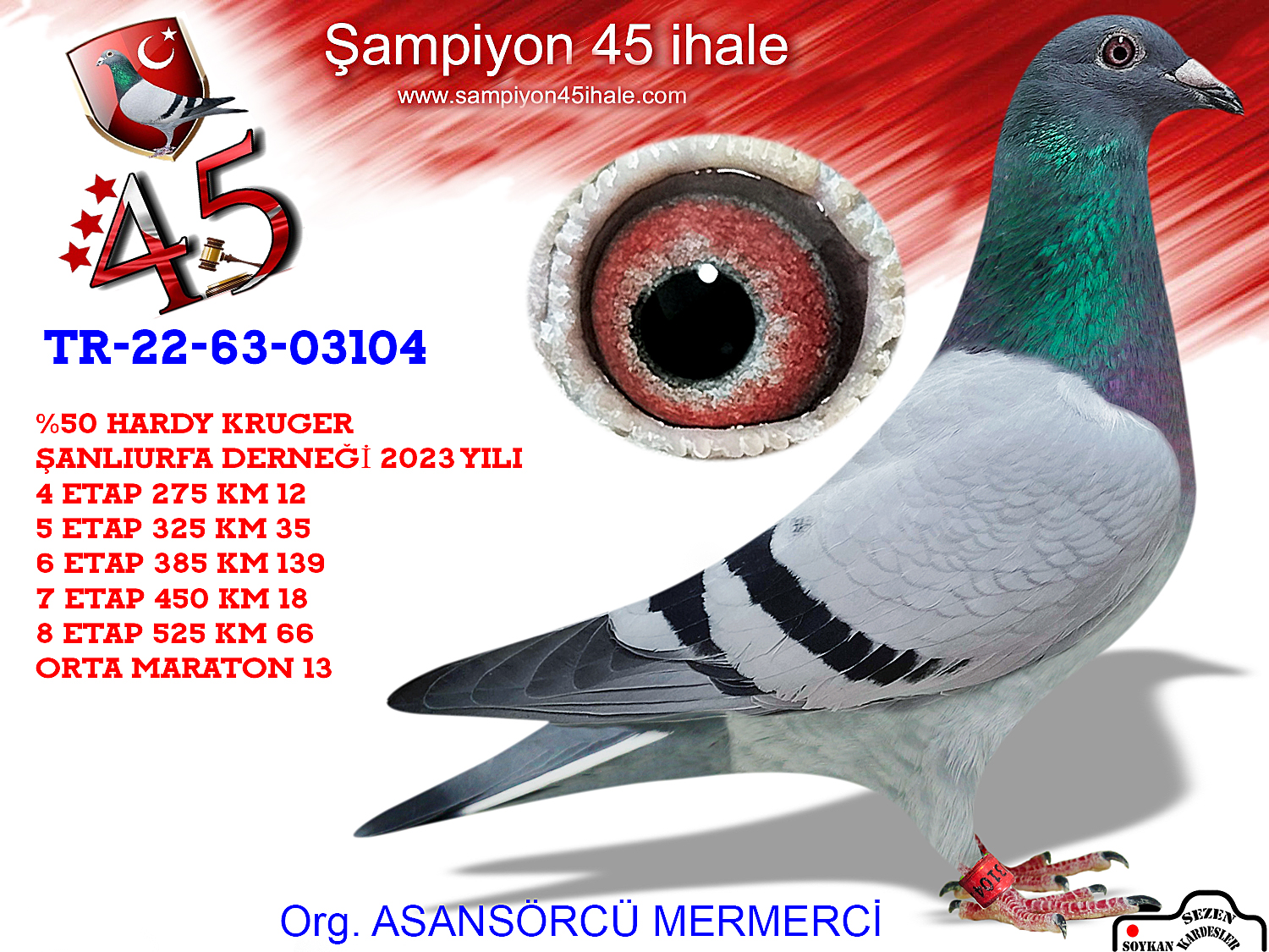 TR-22-63-03104 DİŞİ