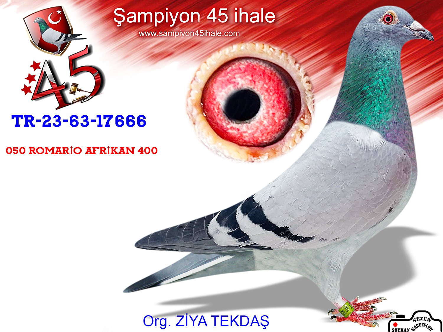 TR-23-63-17666 DİŞİ