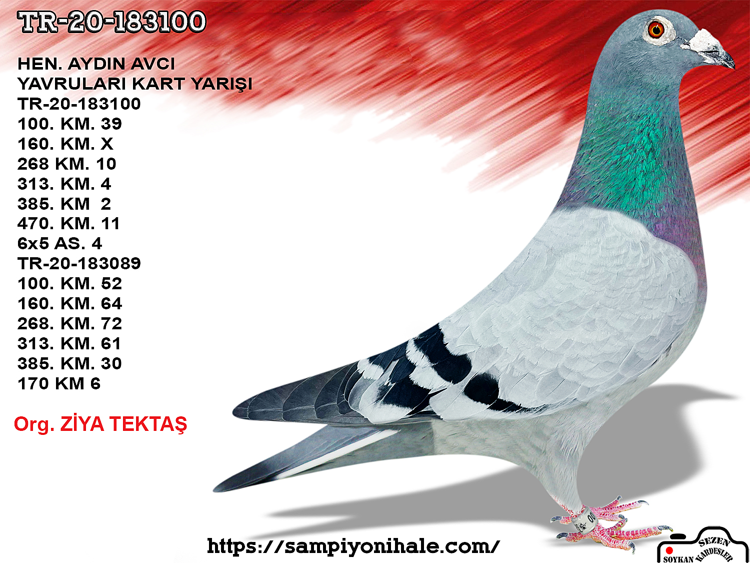TR-20-183100 JOS THONE X JANSSEN NEST MATE RONALDO 