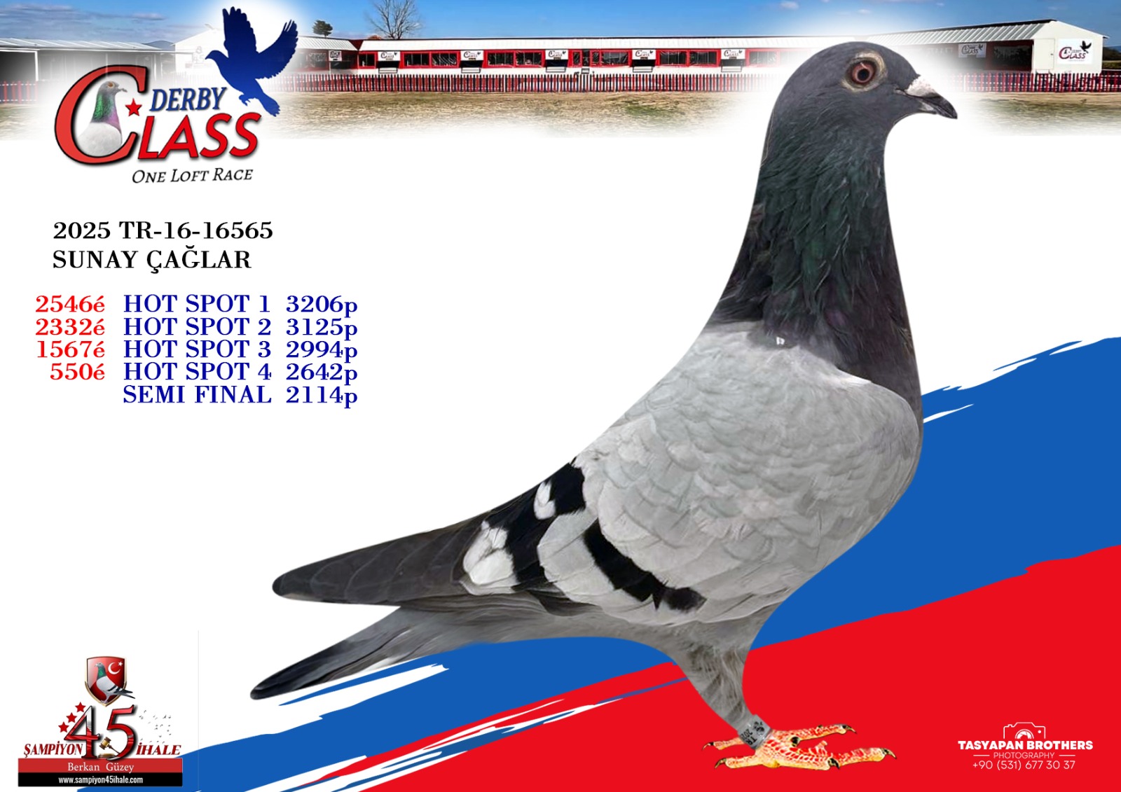 TR-16-16565 SUNAY ÇAĞLAR 