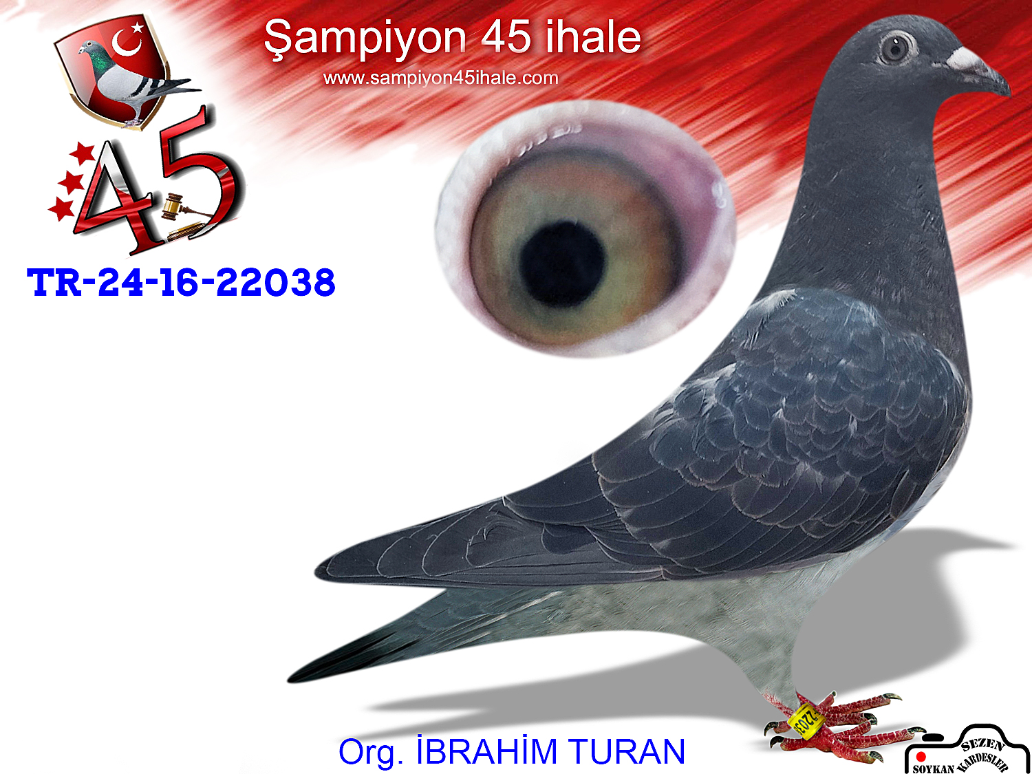 TR-24-16-22038 DİŞİ