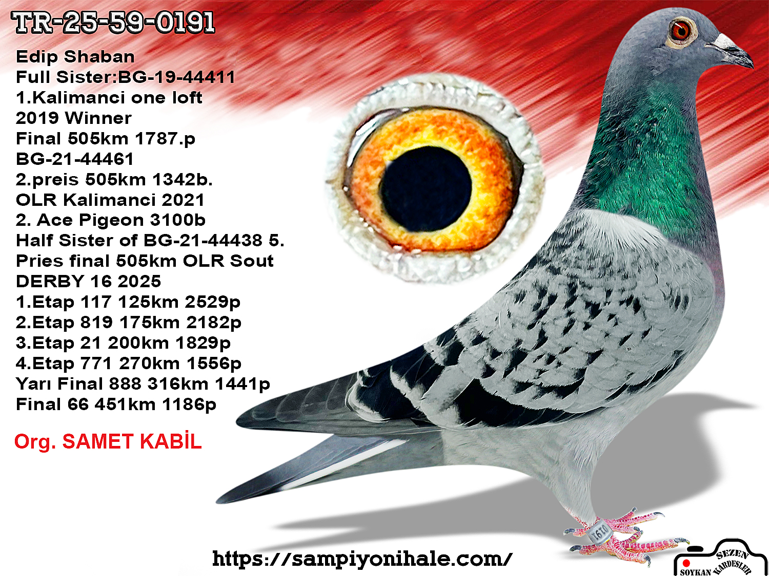 TR-25-59-0191 SG STEFFL KRAL HEINZ WİCHERT 