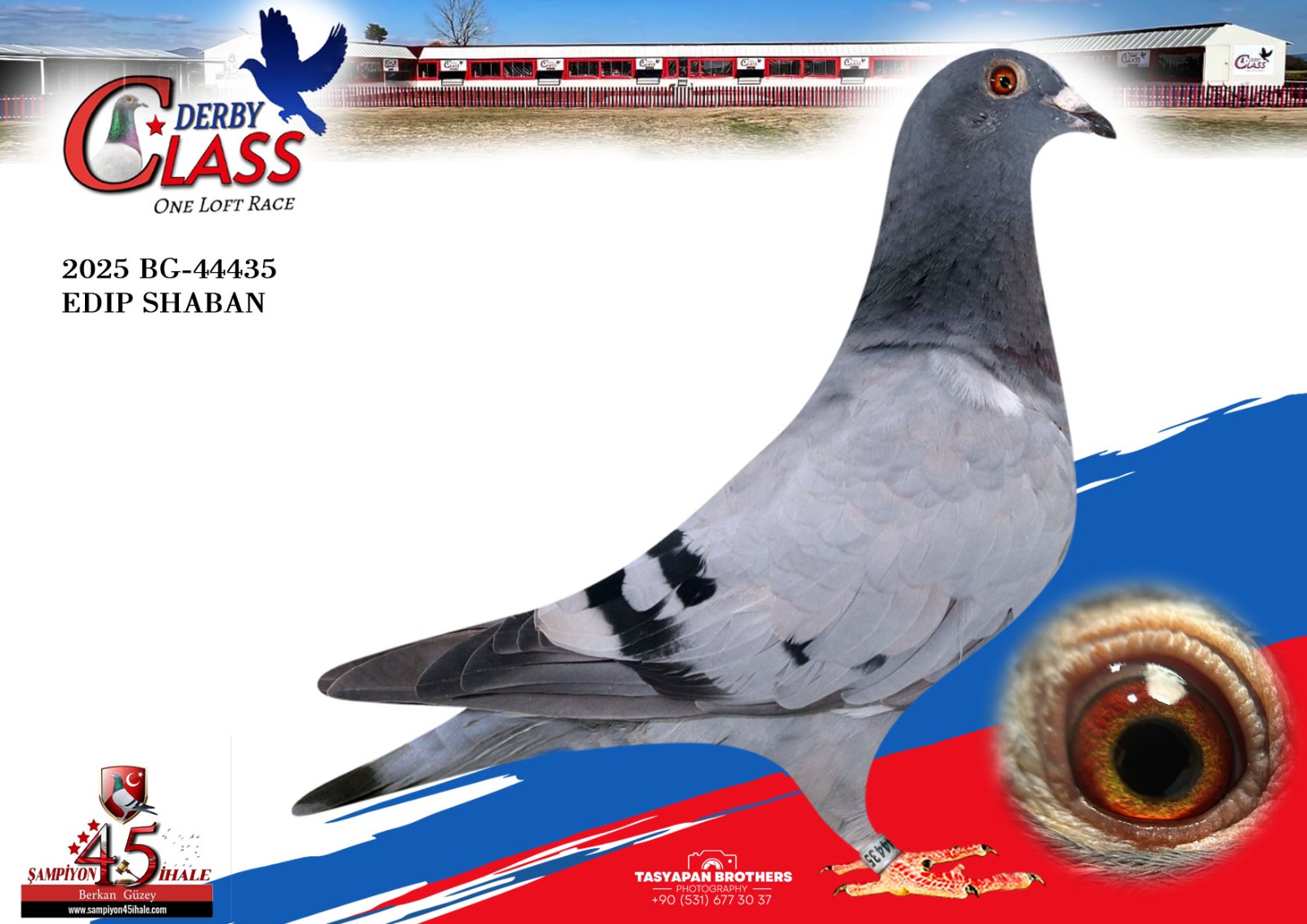 BG-44435 EDİP SHABAN