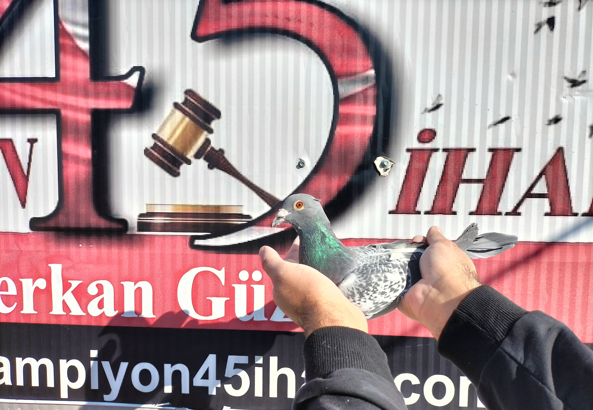 TR-21-178518 ORG EYÜP CUMA AKTAŞ 