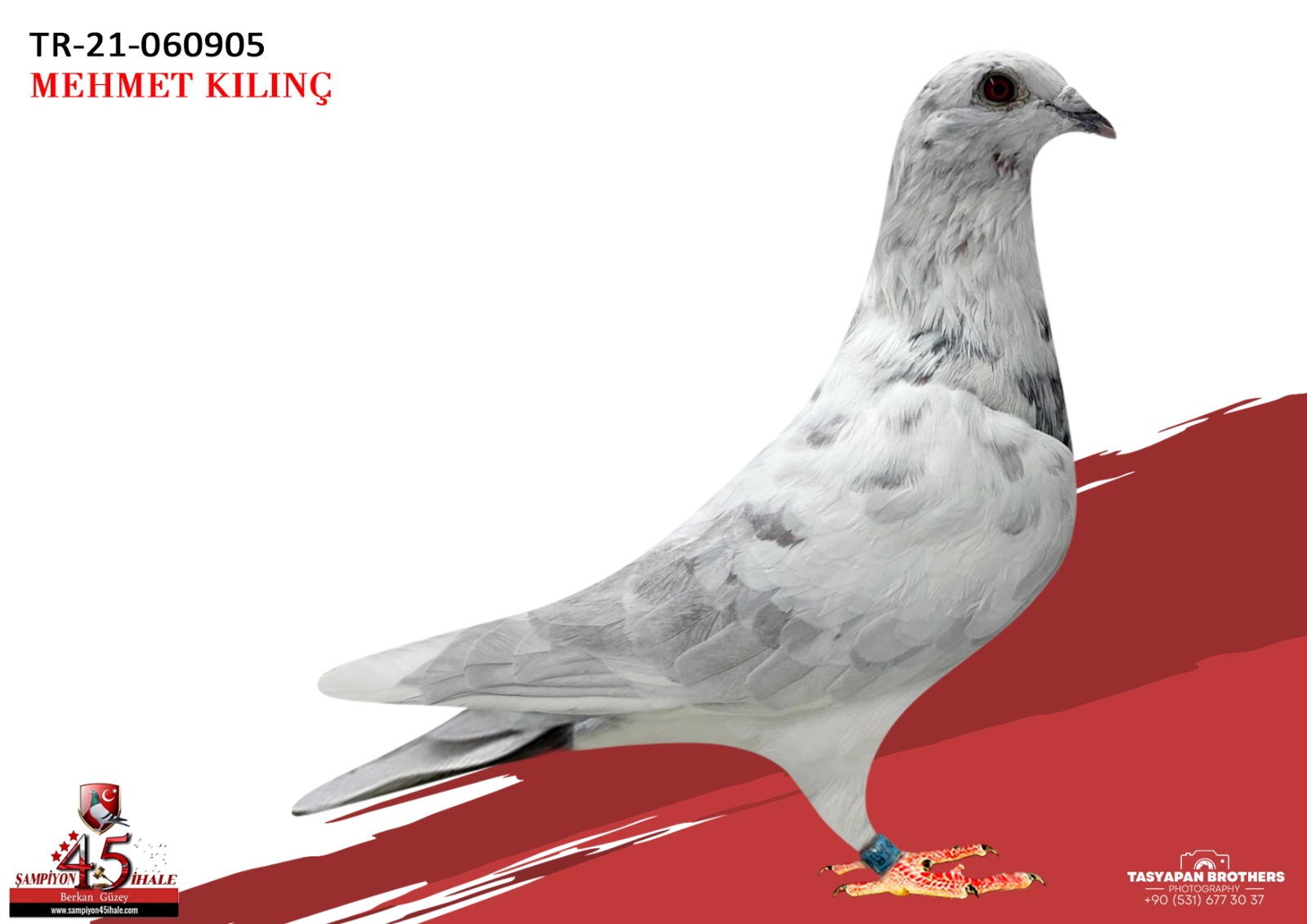 TR-21-060905 FATHER DERBY 16 100 KM 1 150 KM 52 230 KM 96 275 KM 39 410 KM 12 AS KLASMAN 8 