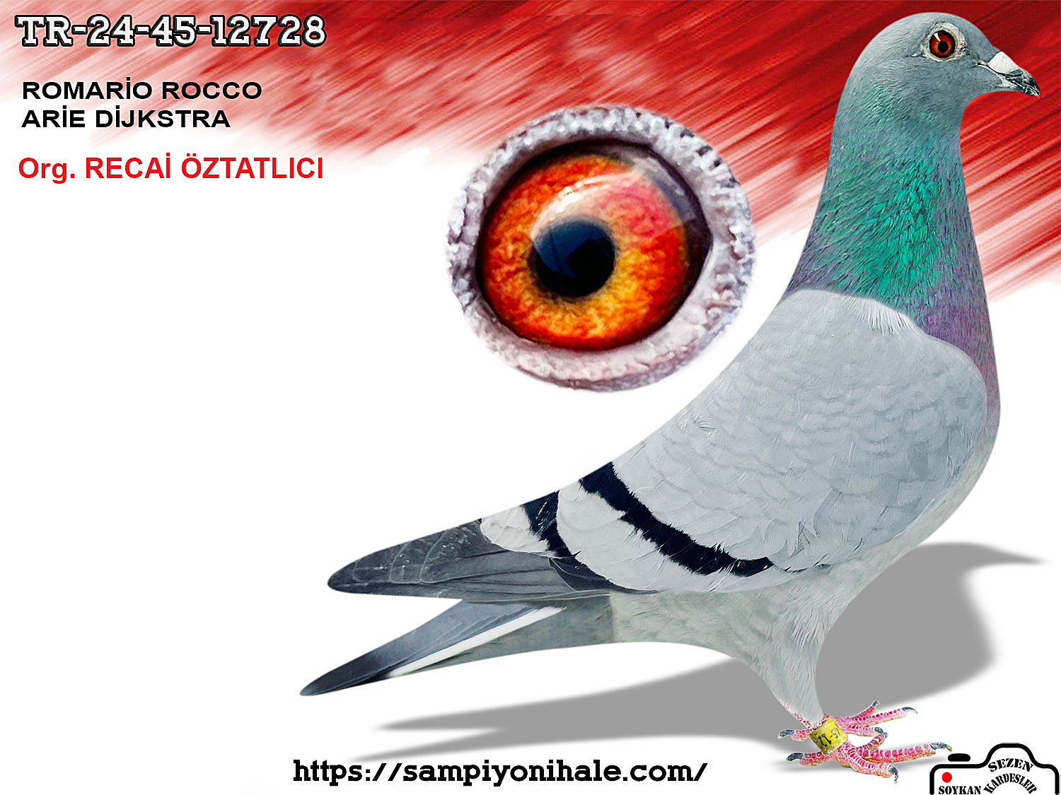 TR-25-45-12728 ROMARİO ROCCO ARİE DİJKSTRA 