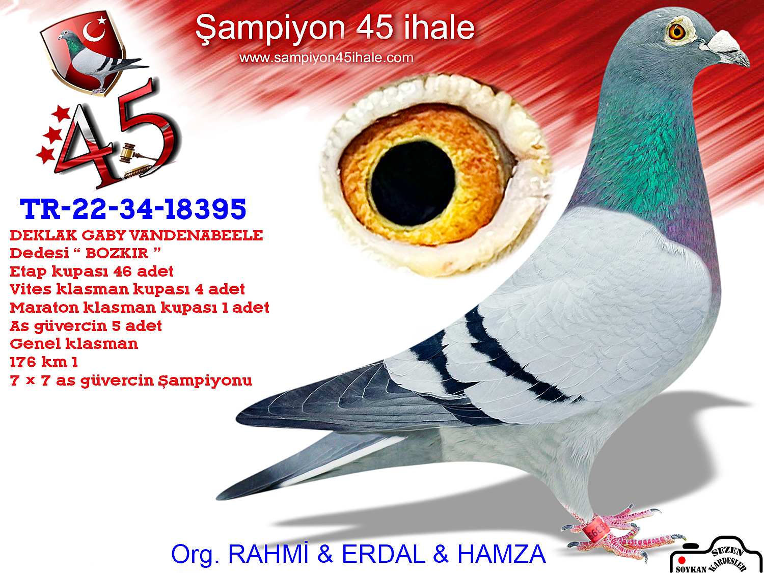 TR-22-34-18395 DE KLAK GABY VANDENABEELE