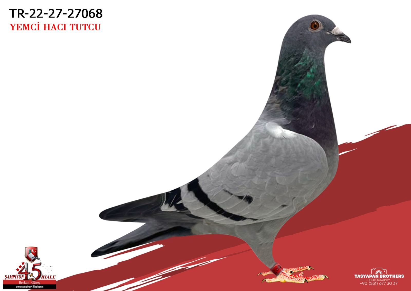 TR-22-27-27068 VAN LOON EIJERKAMP AFRİKAN 400