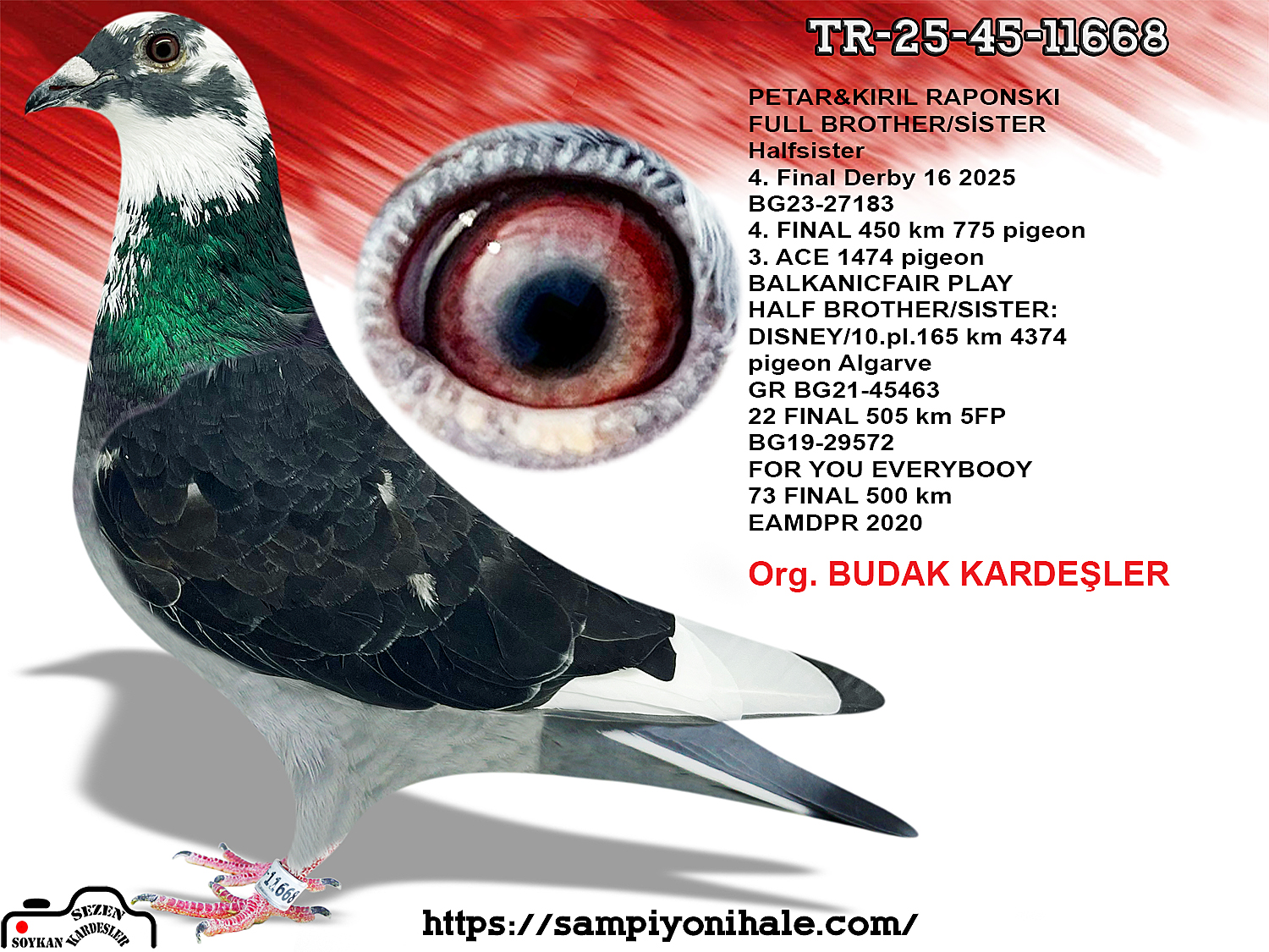 TR-25-45-11668 PETAR&KIRIL RAPONSKI BLACK NIGHT