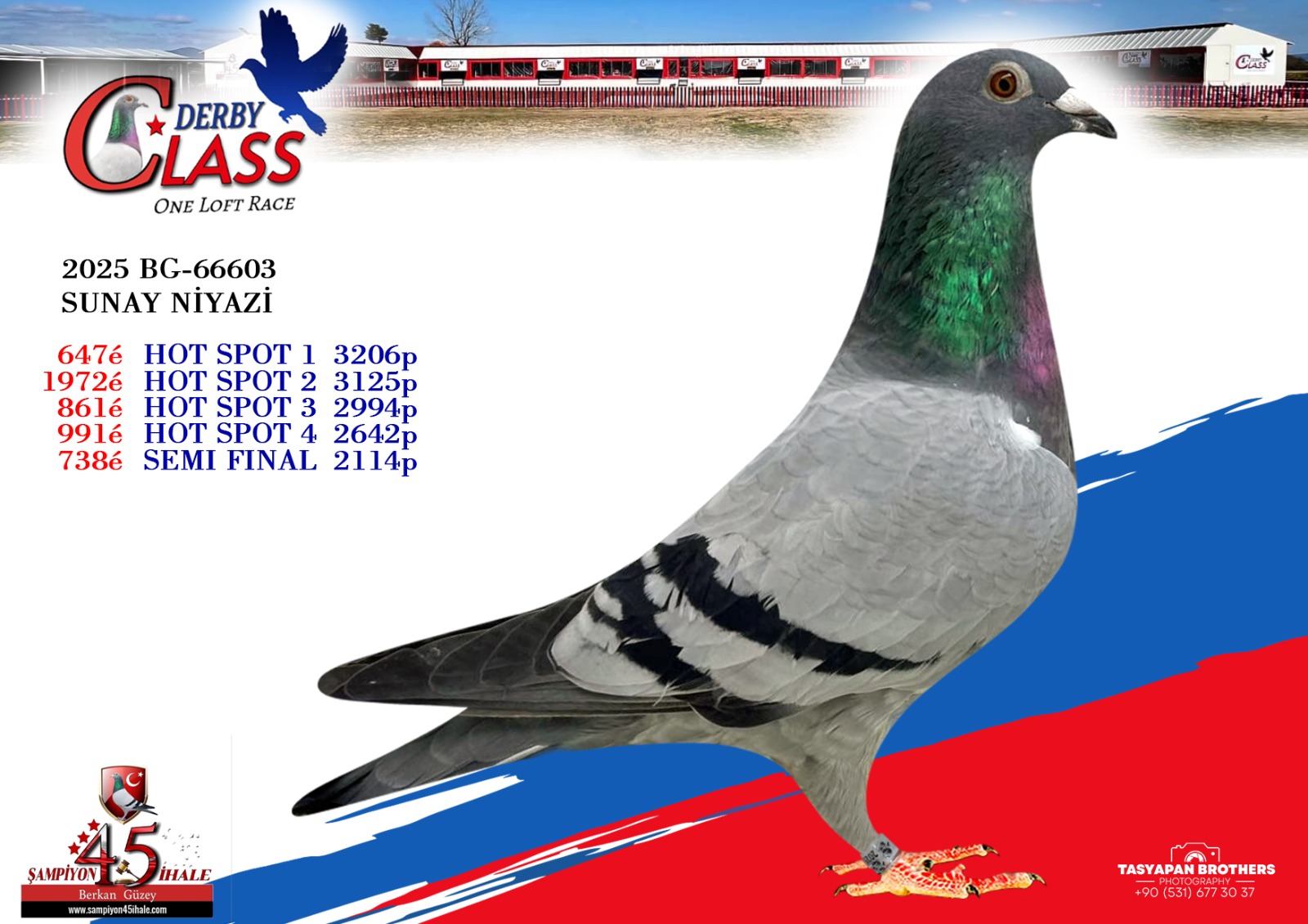 BG-66603 SUNAY NİYAZİ 