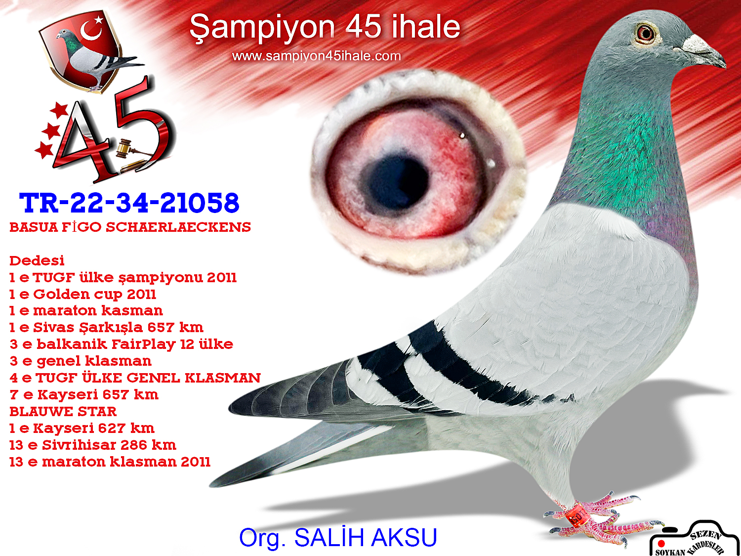 TR-22-34-21058 SCHAERLAEKENS BASUA FİGO