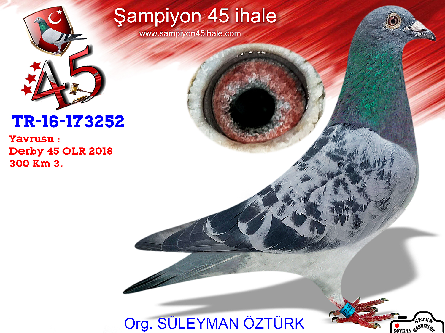 TR-16-173252 DİŞİ