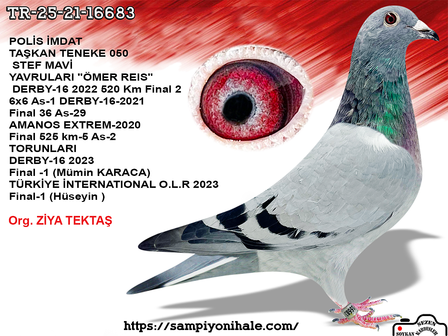 TR-25-21-16683 DEDESİ POLİS İMDAT VE 050 