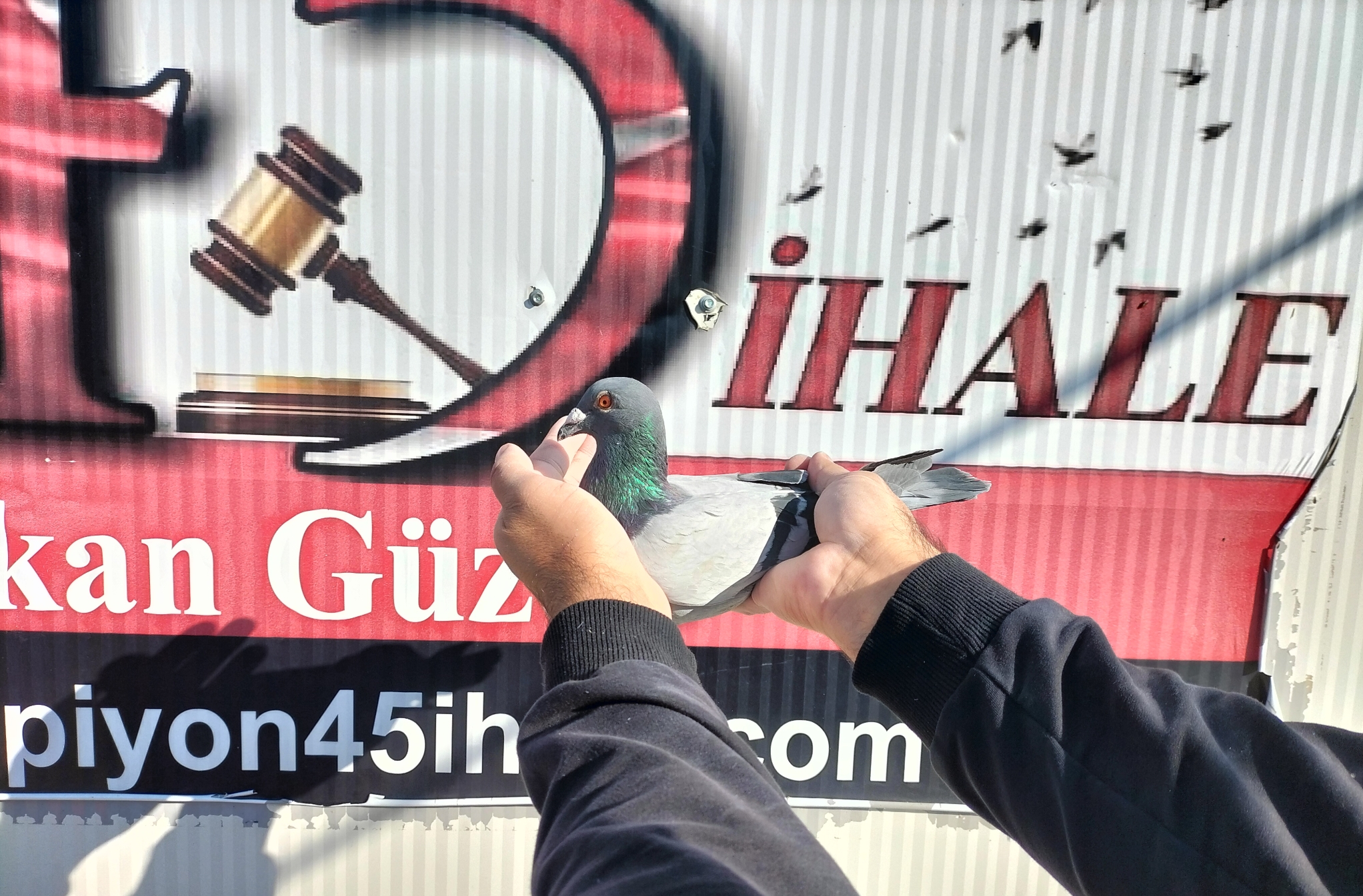 TR-25-63-01840 ORG ALİ TÜRK