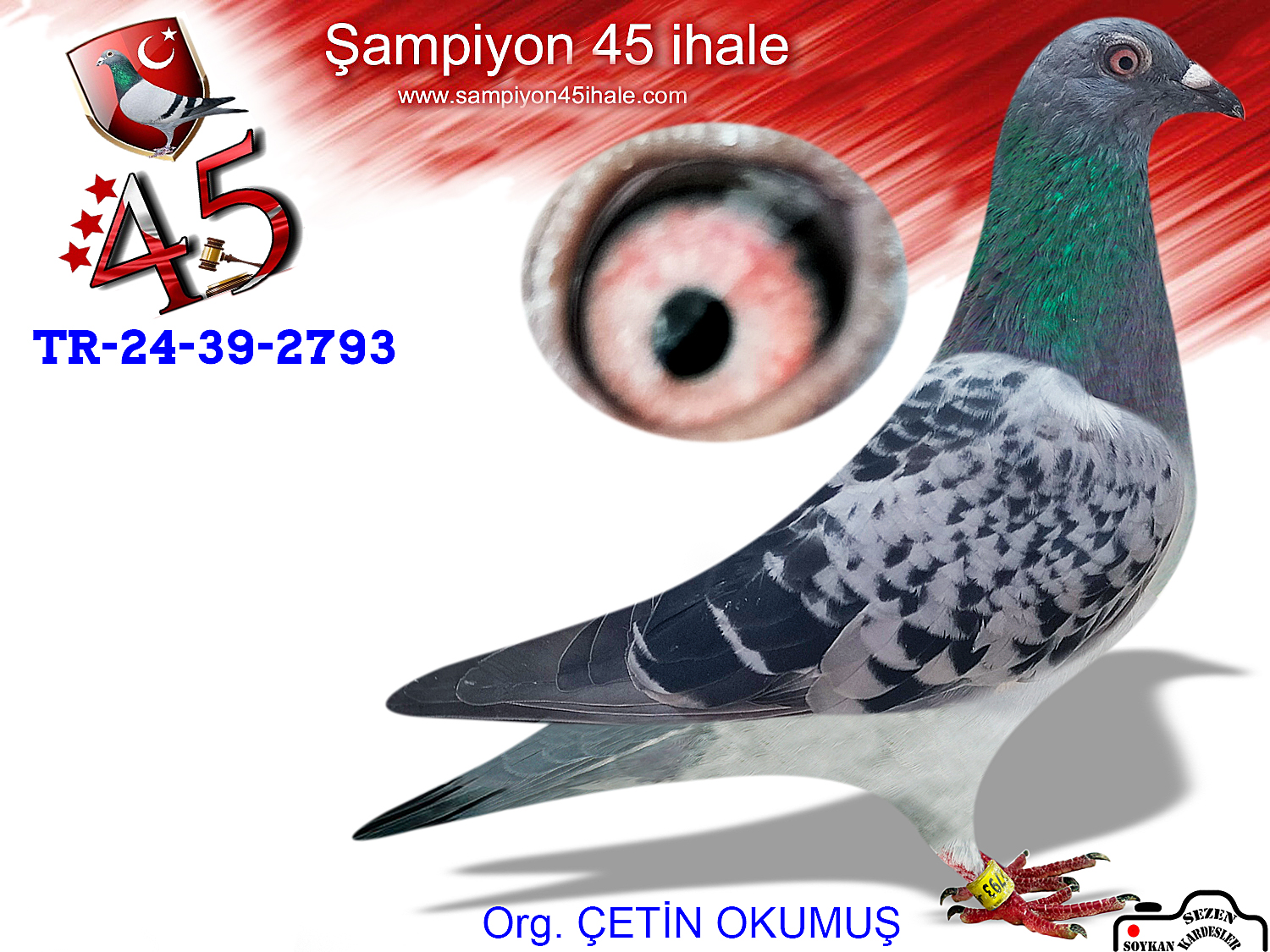 TR-24-39-2793 DİŞİ