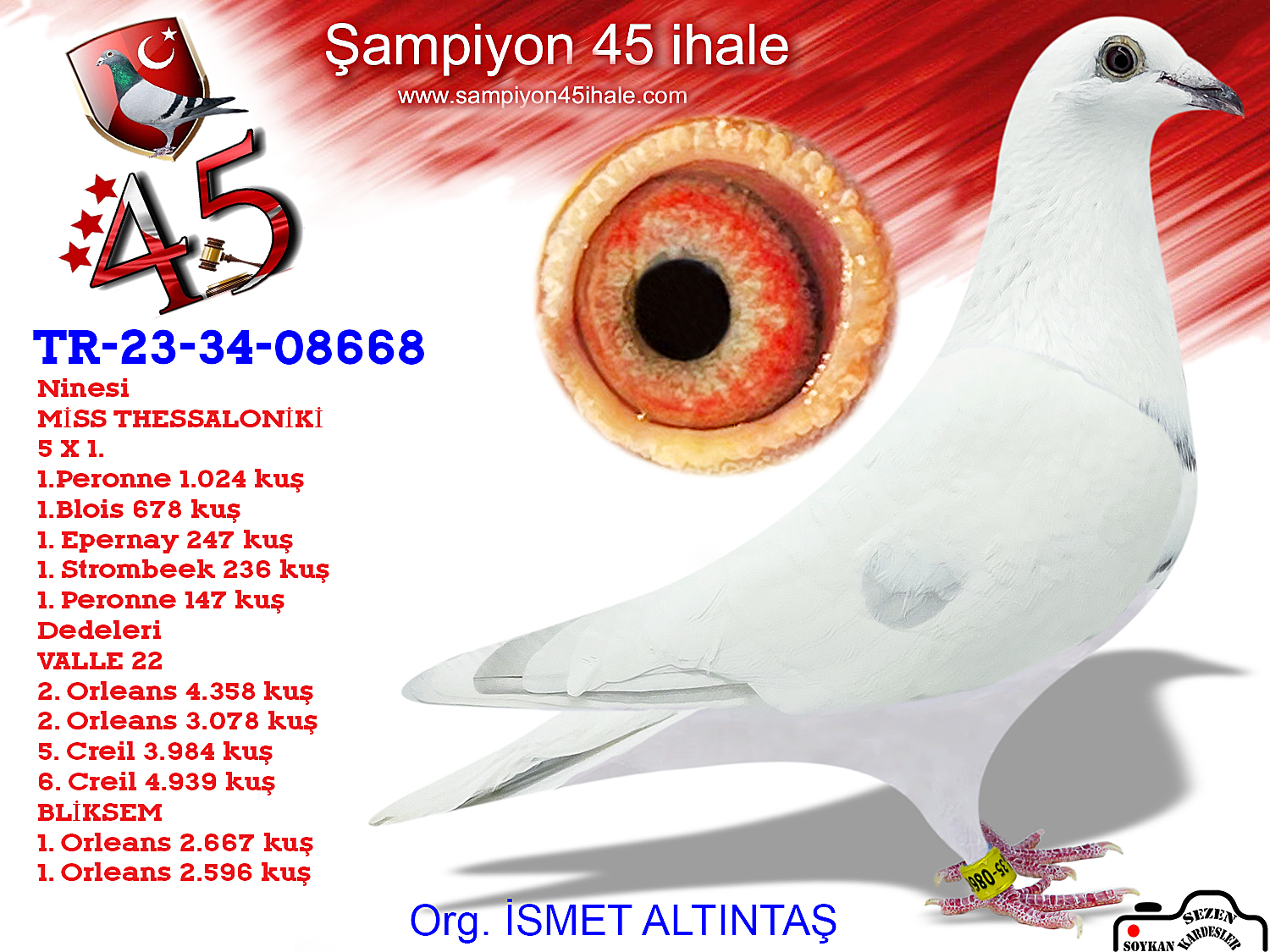 TR-24-35-08668 LUDO CLASENS 