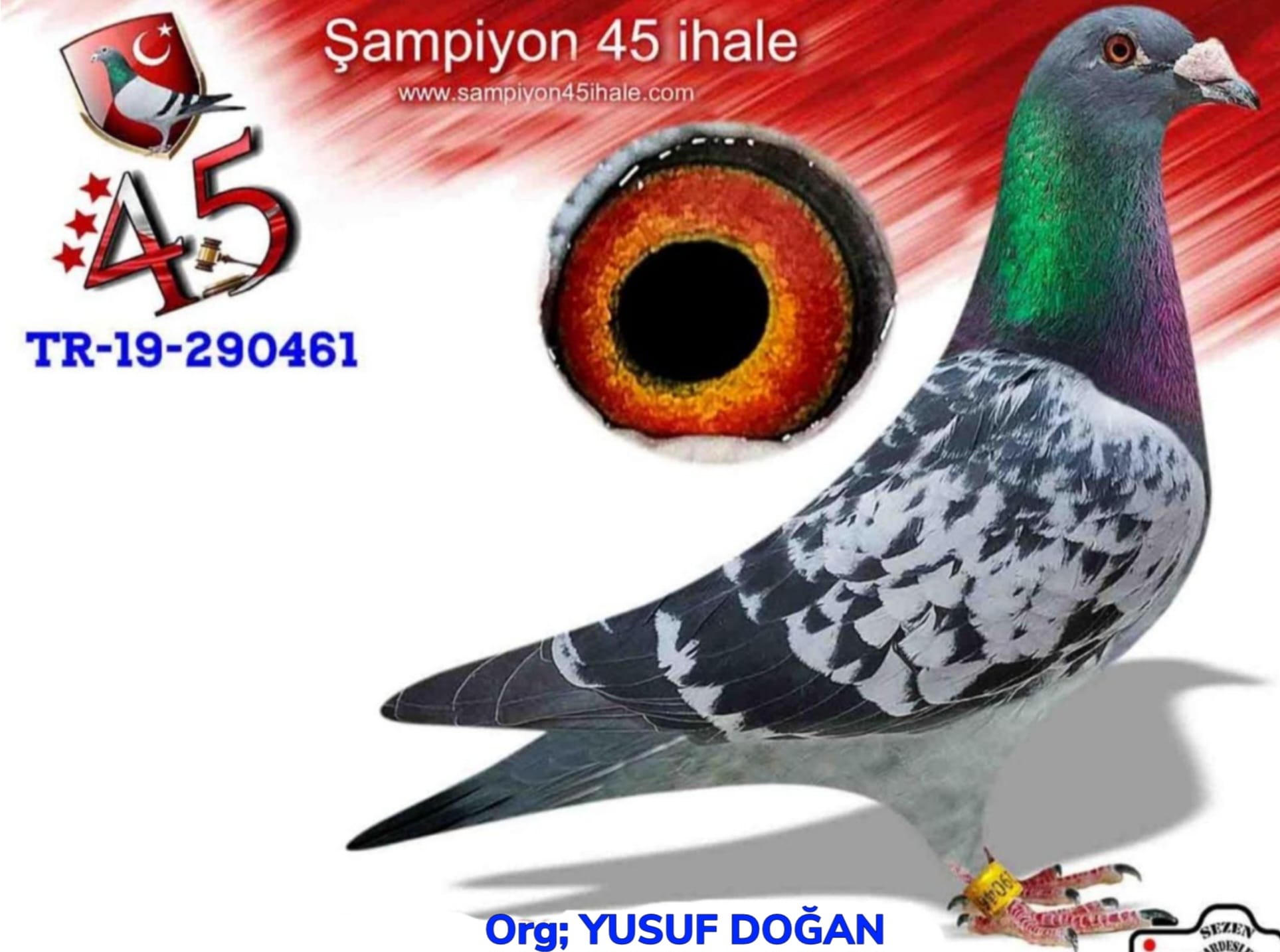 TR-19-290461 DİŞİ