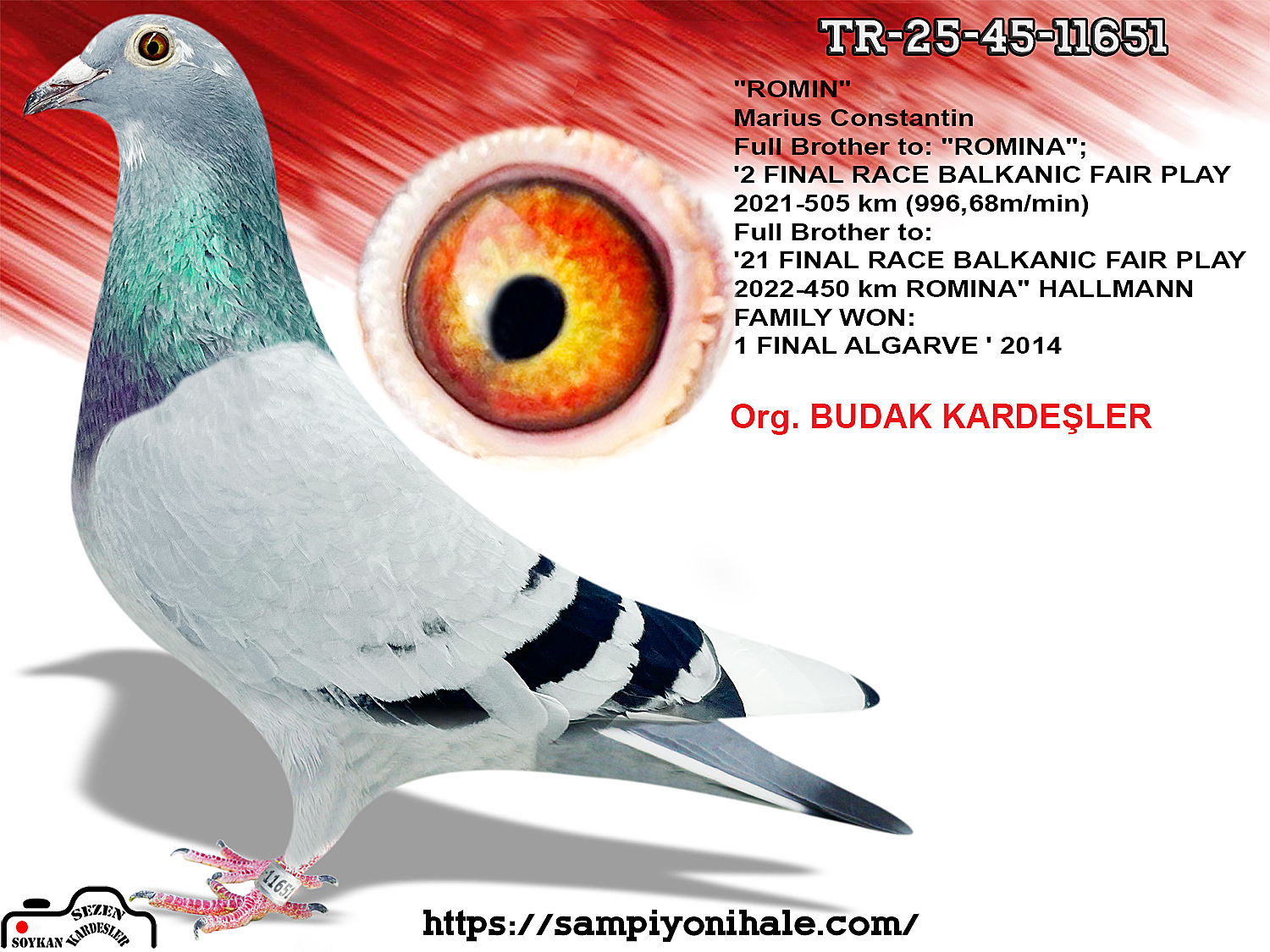 TR-25-45-11651 ORNAT ROMARİO 410 SİMON WOLF 