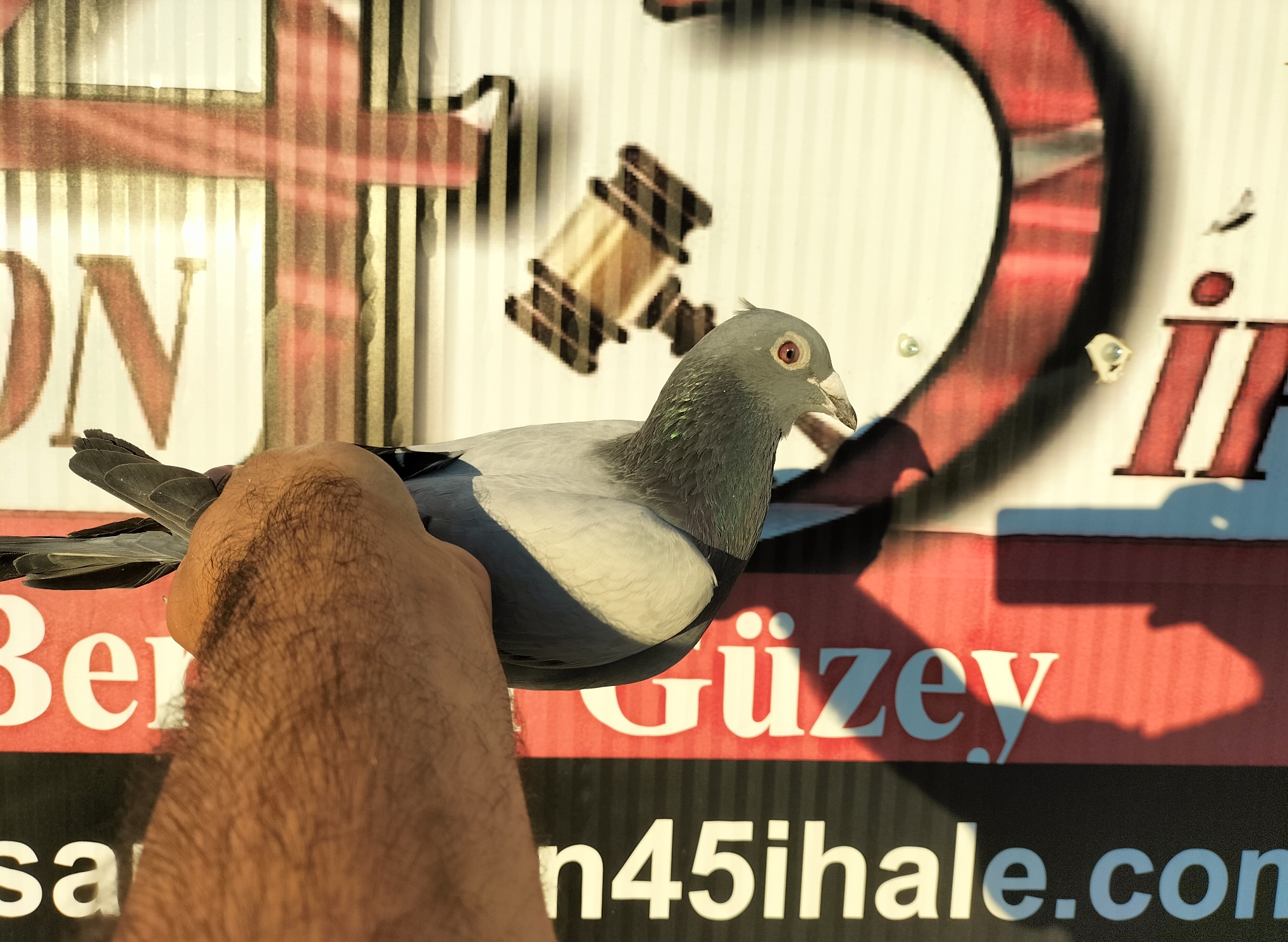 TR-24-10-4016 ORG NECMİ ÇAKAR 