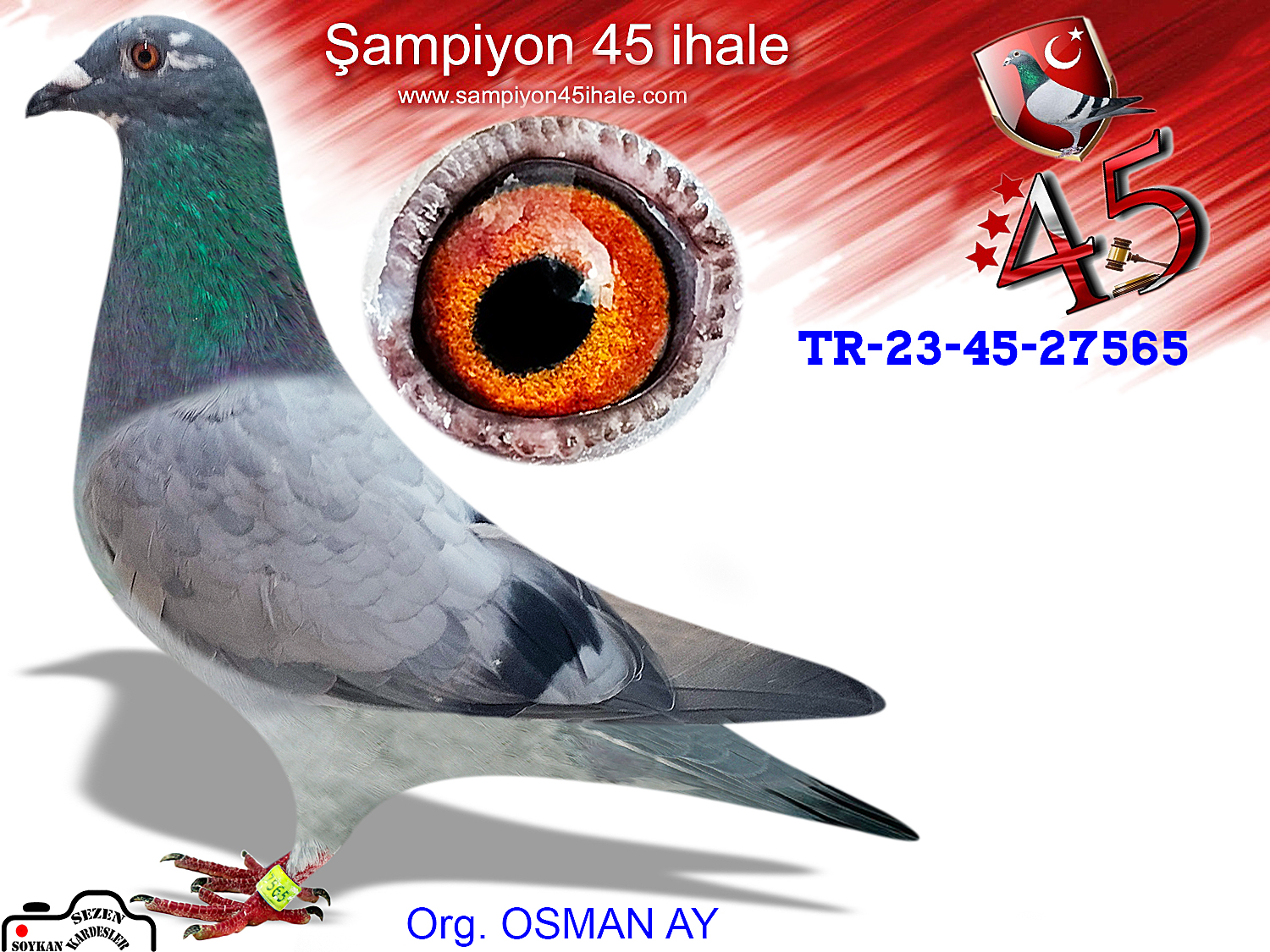 TR-23-45-27565 DİŞİ