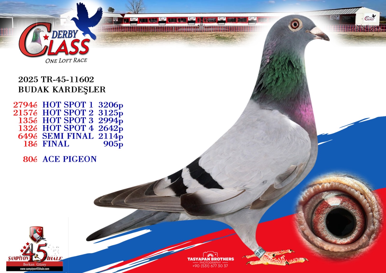 TR-45-11602 DİŞİ