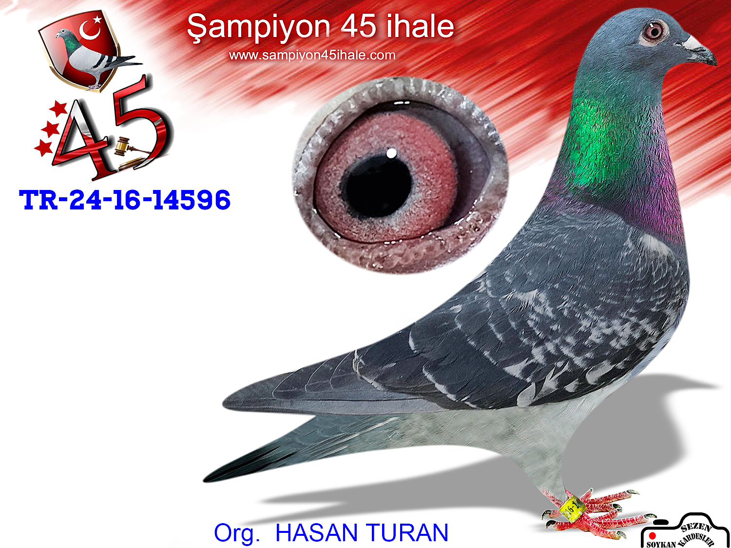 TR-24-16-14596 DİŞİ