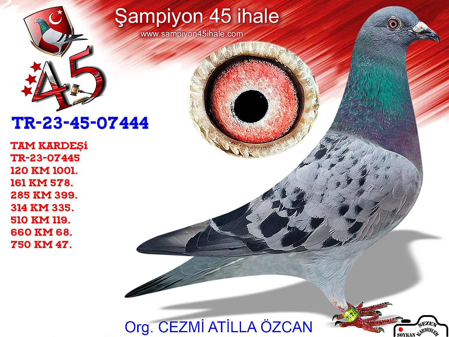 TR-23-45-07444 DİŞİ