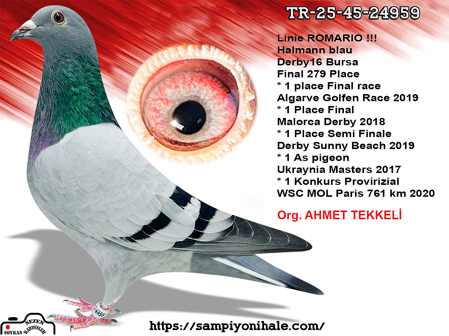 TR-25-45-24959 ROMARİO ALTMİSK SOUDY 