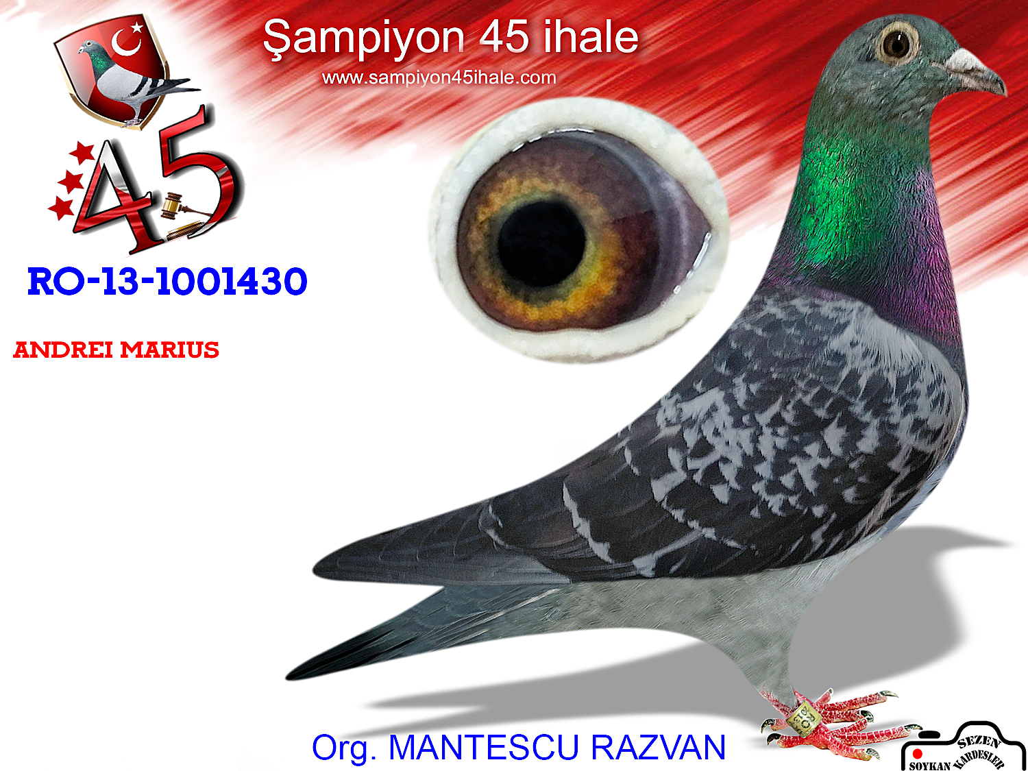 RO-13-1430 DİŞİ