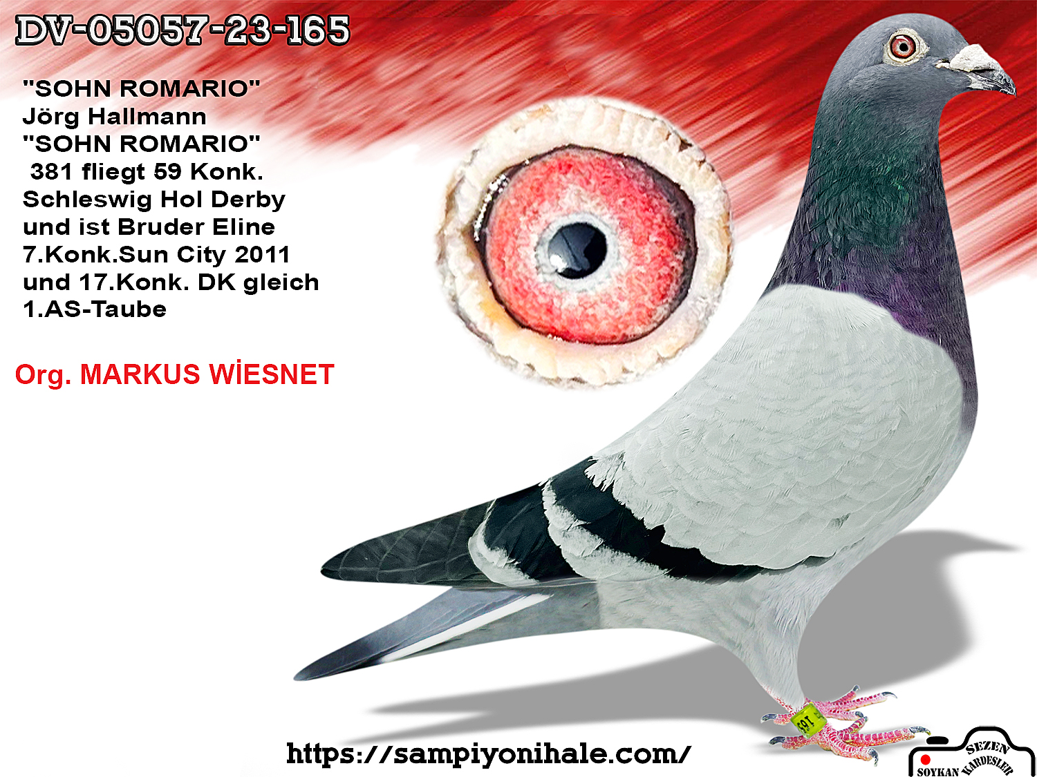 DV-05057-23-165 ROMARİO JÖRG HALLMANN